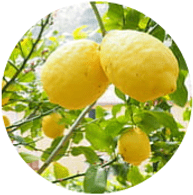 Aceites esenciales ecológicos limon