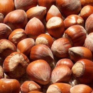 hazelnut virgin vegetable essential oil