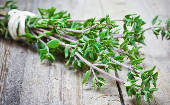 thyme essential oil: benefits, properties, composition and  uses