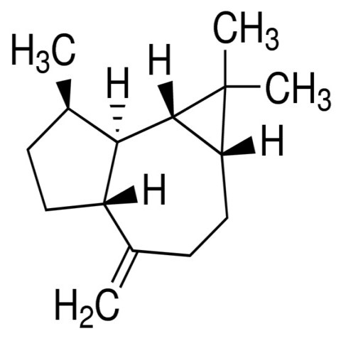 Aromadendreno